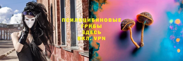 спайс Бикин