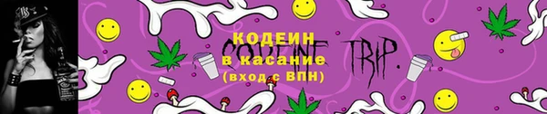 гашик Аркадак