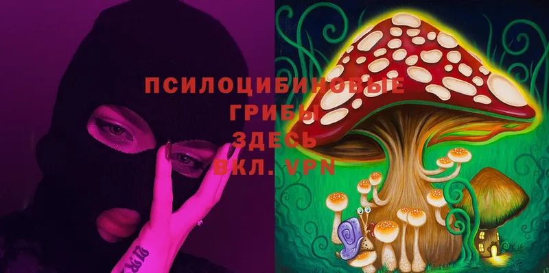 купить  цена  Дюртюли  Галлюциногенные грибы Psilocybine cubensis 