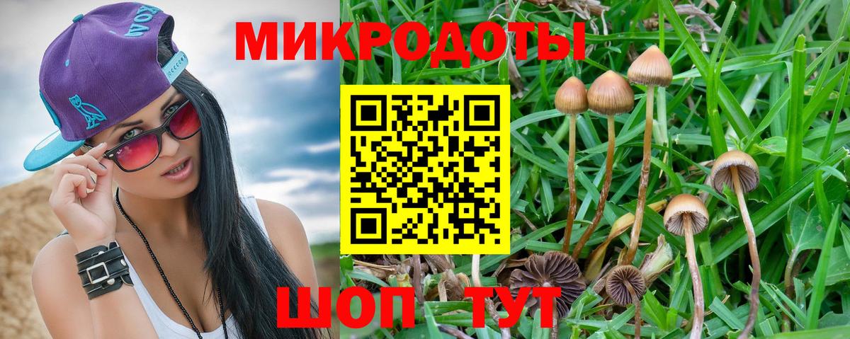 Галлюциногенные грибы Magic Shrooms  Дюртюли 